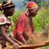 AGRA report highlights country-led efforts to build stronger food systems
